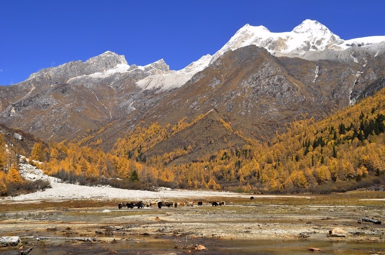 风景如此美丽 风景如此美丽