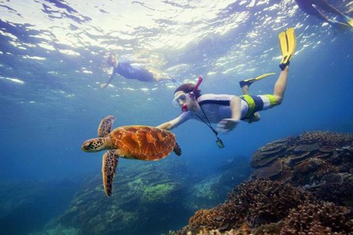 美女与海龟潜海