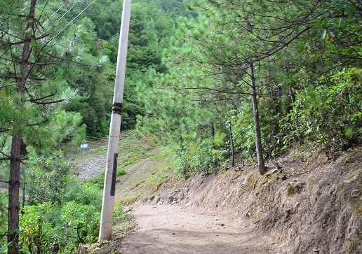 上雨崩路上的电线杆 上雨崩路上的电线杆