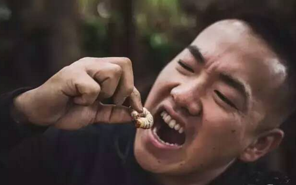 虫子含蛋白质 虫子含蛋白质