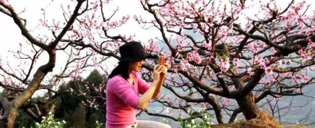 桃花美,人更美 桃花美,人更美